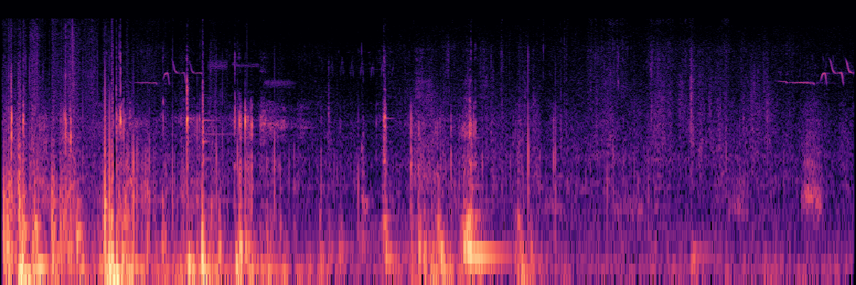 Spectrogram: Bear Attacks Audio Equipment